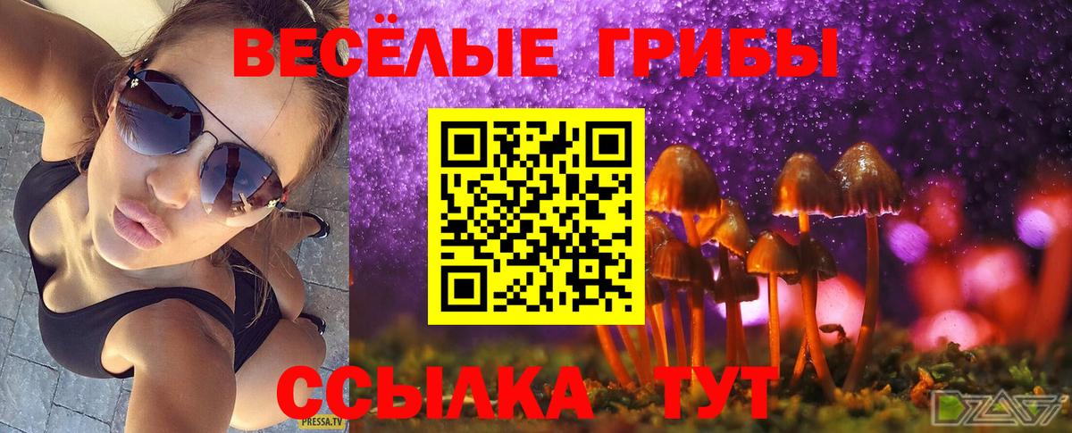 Галлюциногенные грибы Psilocybine cubensis Дзержинск