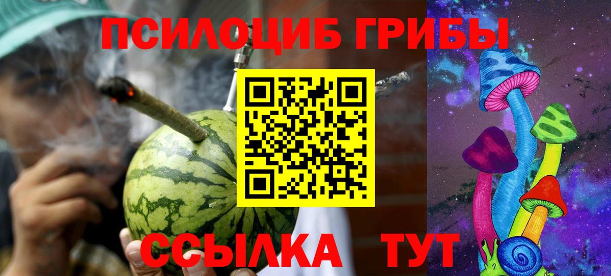 Дзержинск  Псилоцибиновые грибы ЛСД  Вход с VPN  Псилоцибиновые грибы Psilocybine cubensis 